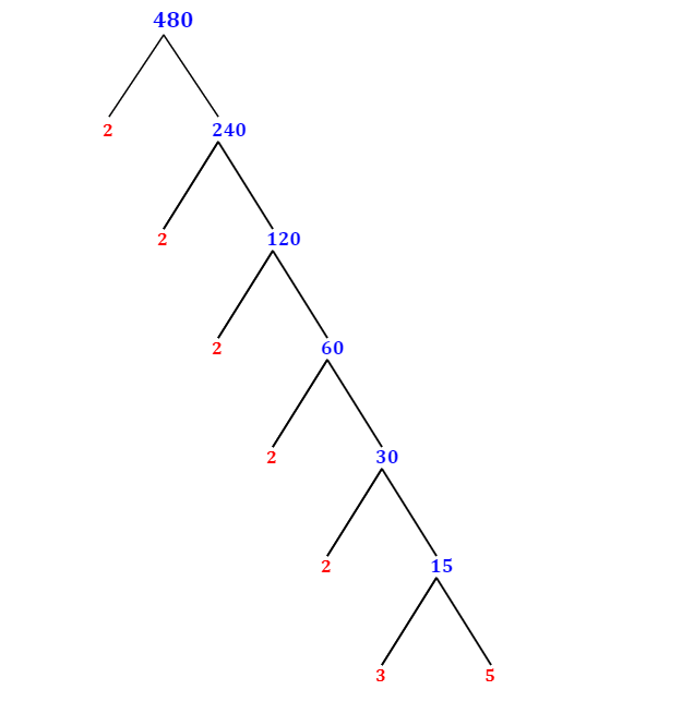 prime-factorization-of-480-with-a-factor-tree-mathondemand